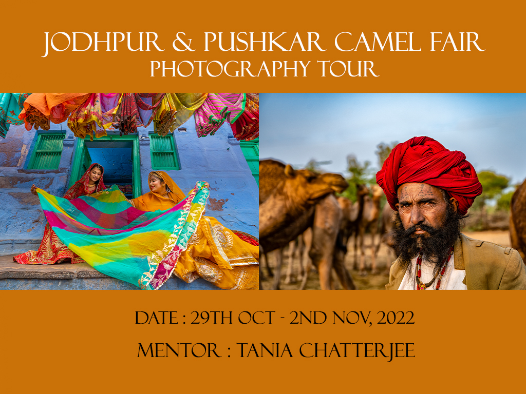 JODHPUR & PUSHKAR CAMEL FAIR PHOTOGRAPHY WORKSHOP, 29th Oct - 2nd Nov 2022 ( BOOKING GOING ON )